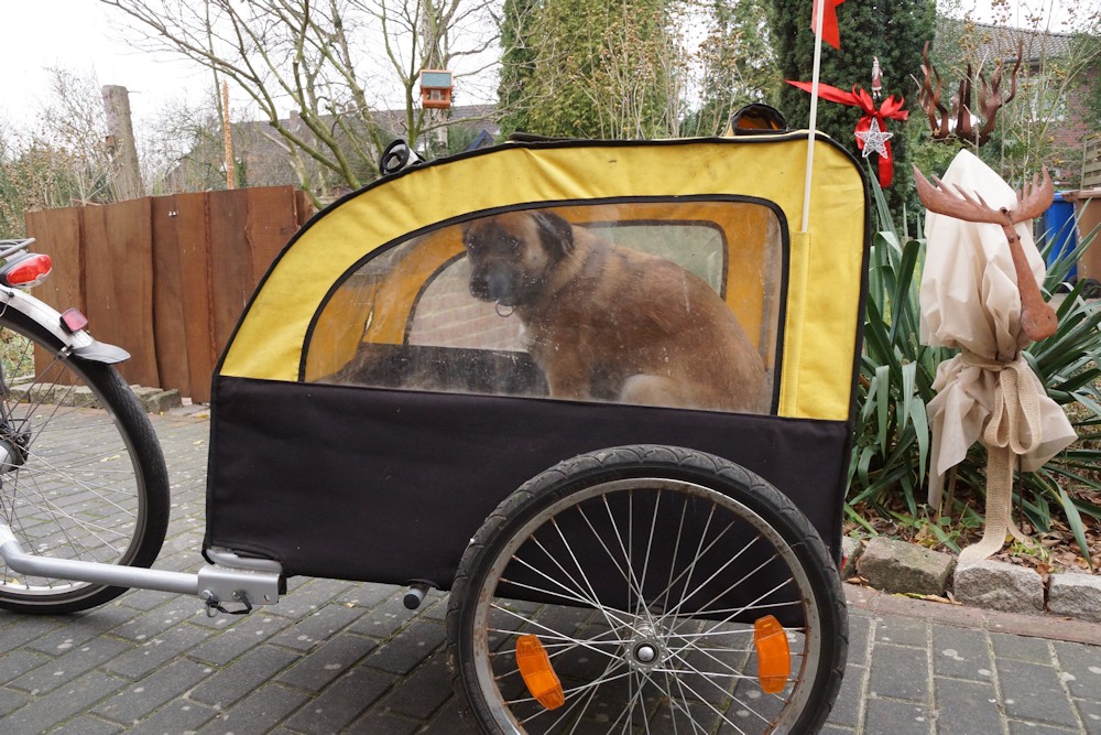 hunde fahrradanhänger für e bikes